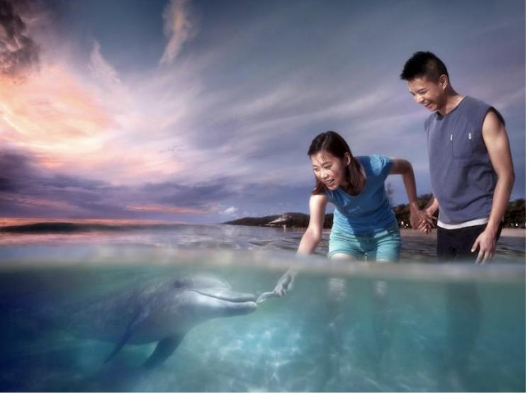 Tangalooma Snorkel the Wrecks Day Cruise with Bus Transfers from Gold Coast